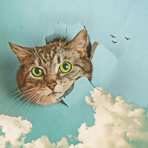 灰原衰被❌c🐻扒衣
